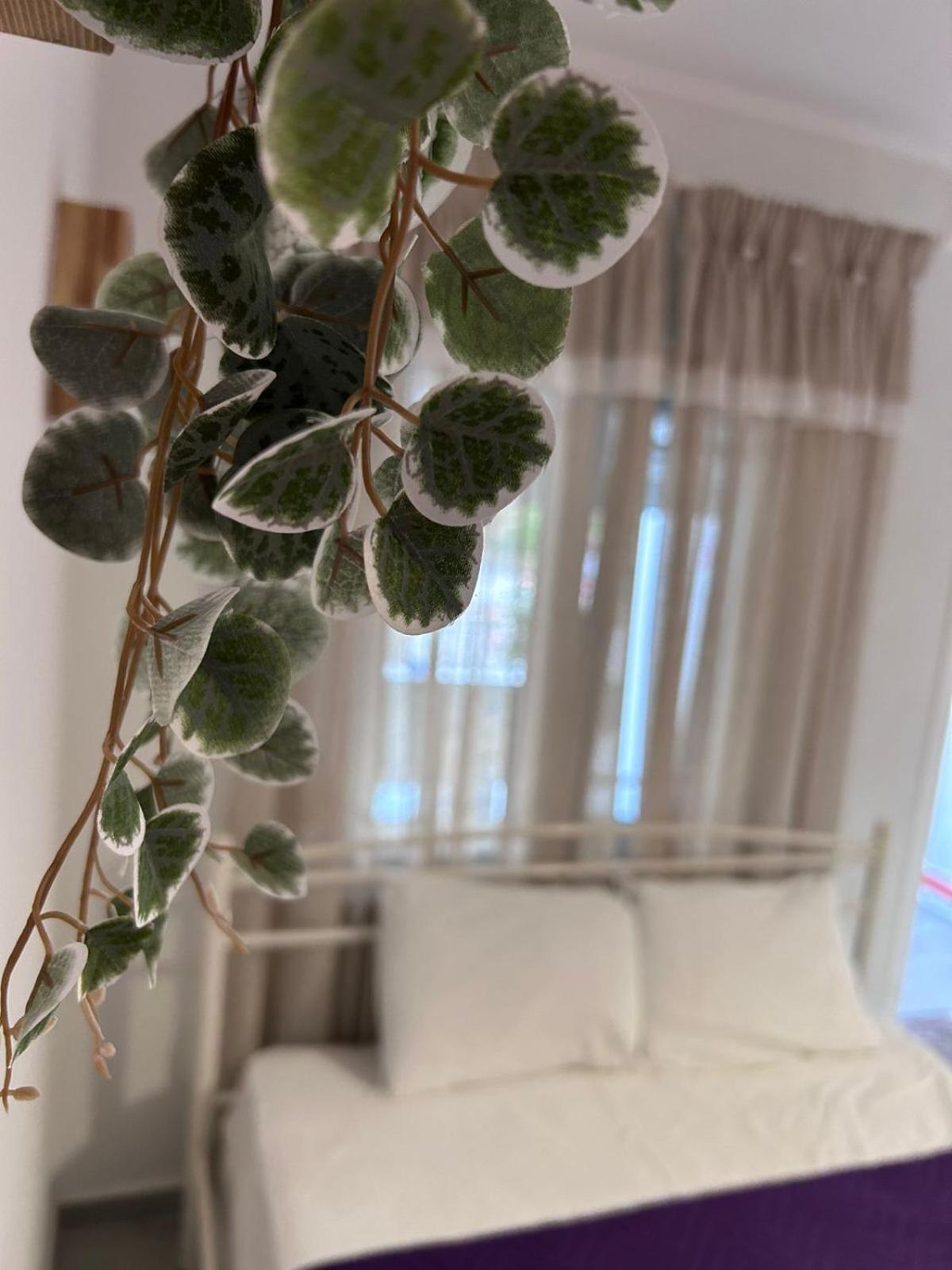 קראמוטי Amaya Pine Rooms מראה חיצוני תמונה